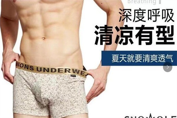 雪飛狼男士內衣加盟