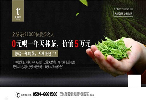 天林茶加盟