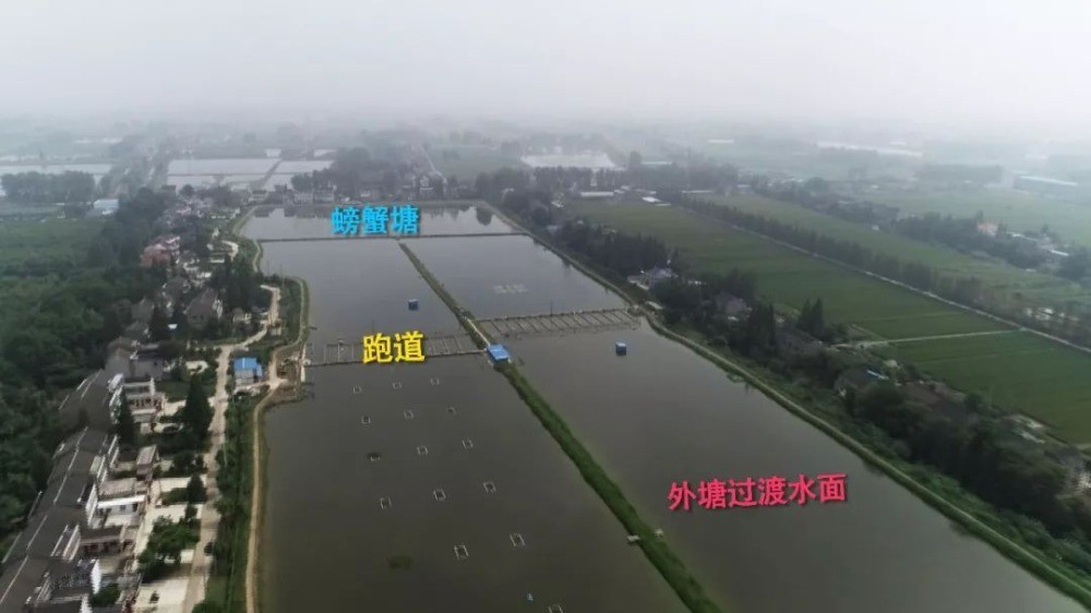 華中鑫農螃蟹養殖