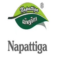 泰國Napattiga乳膠枕加盟