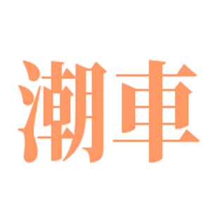 潮車汽車用品加盟