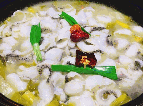 白鴿酸菜魚(yú)