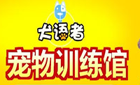 犬語者寵物訓(xùn)導(dǎo)館加盟