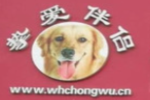 摯愛動物醫院