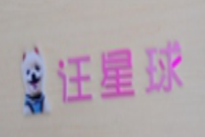 汪星球?qū)櫸锏昙用?/></a>
            </div>
            <div   id=