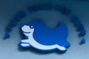 撕家寵物俱樂部加盟