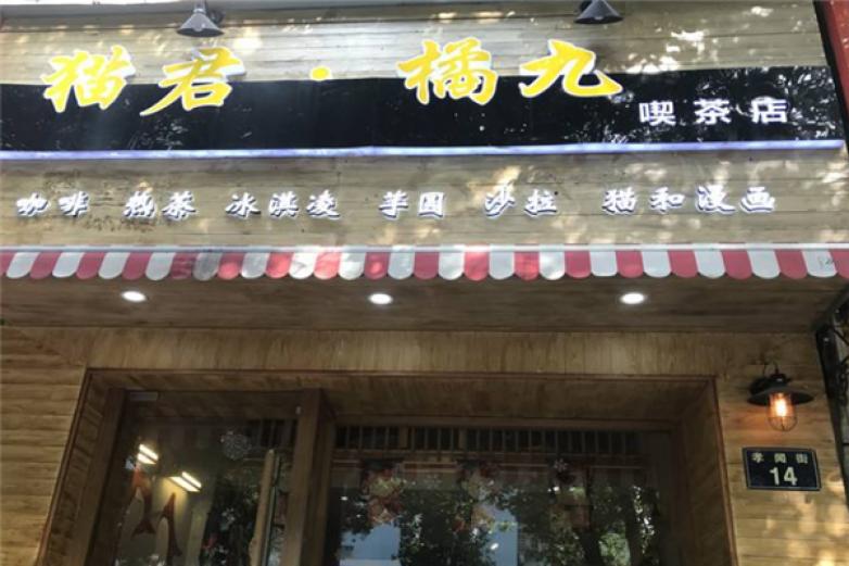 貓君橘九