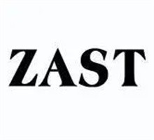 ZAST商務男鞋