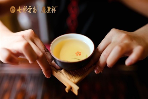七彩云南茶葉加盟