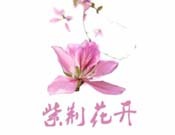 紫荊花開產后恢復中心加盟