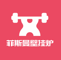 菲斯曼壁掛爐