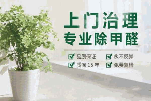 恩典美都除甲醛加盟