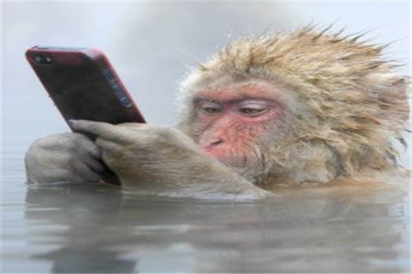金點子DM廣告加盟