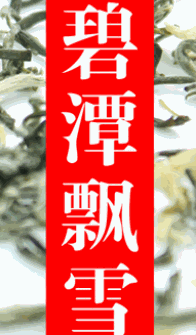 碧潭飄雪茶加盟