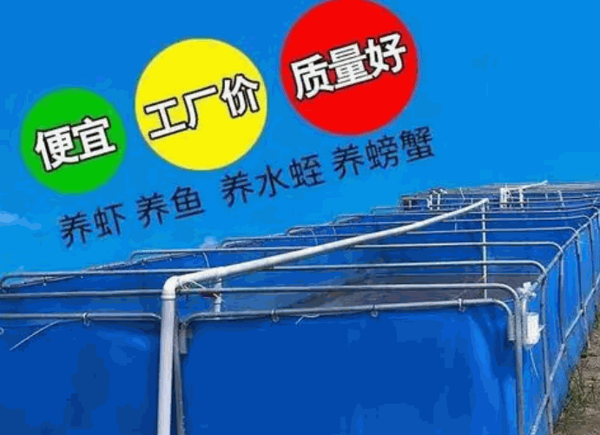 水蛭養殖