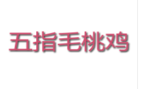 五指毛桃雞加盟