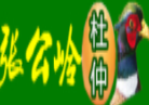 張公嶺野雞加盟