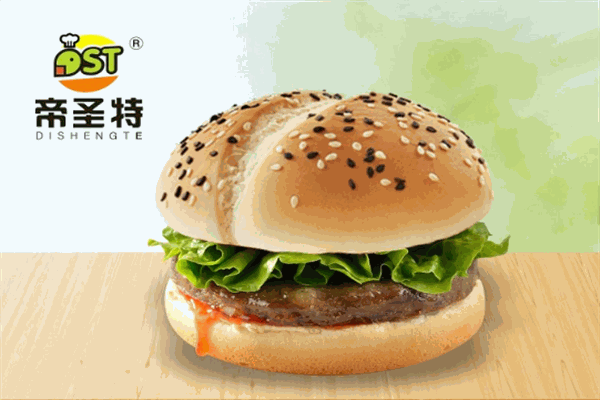 帝圣特漢堡加盟