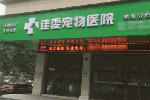 佳雯寵物醫院加盟