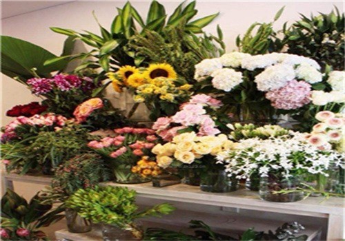 一號花店加盟