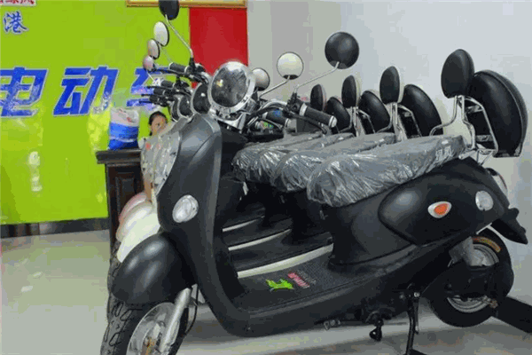 綠風電動車加盟
