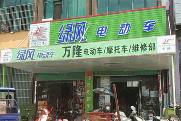綠風電動車加盟