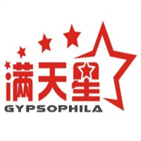 滿天星休閑零食加盟