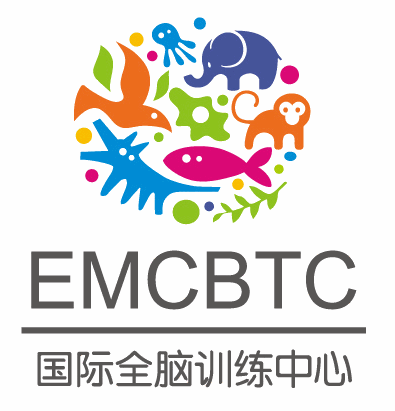 emcbtc國際全腦訓練中心加盟