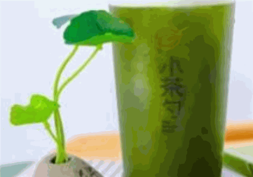 小茶勺奶茶店加盟