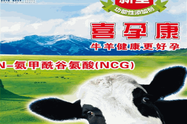 喜百康加盟