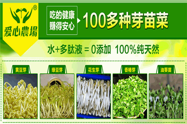 愛心農(nóng)場芽苗菜加盟
