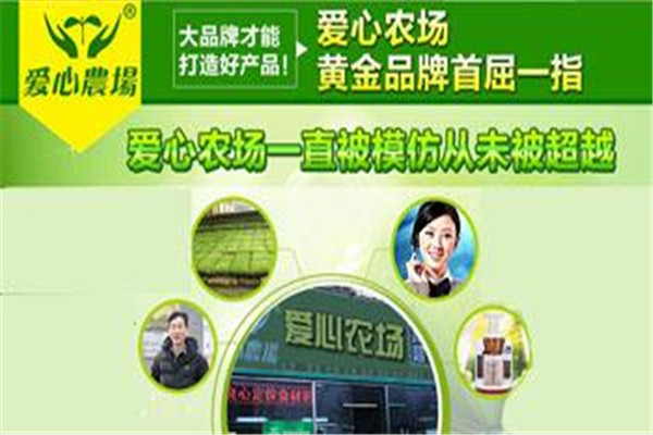愛心農(nóng)場芽苗菜加盟