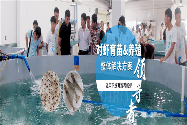共泰農業加盟