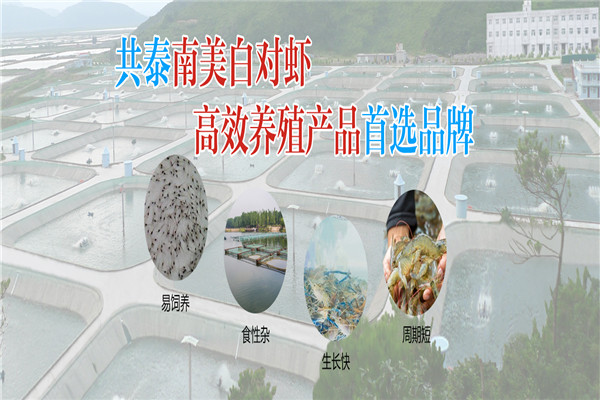 共泰農業加盟