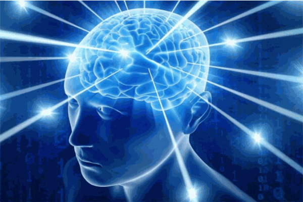 學畢得大腦潛能開發加盟