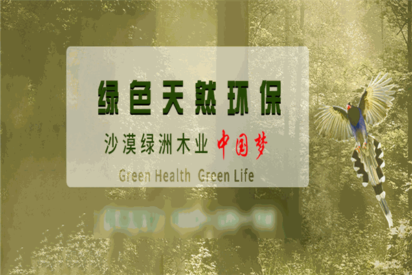 沙漠綠洲板材加盟