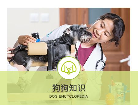 新瑞鵬寵物醫院
