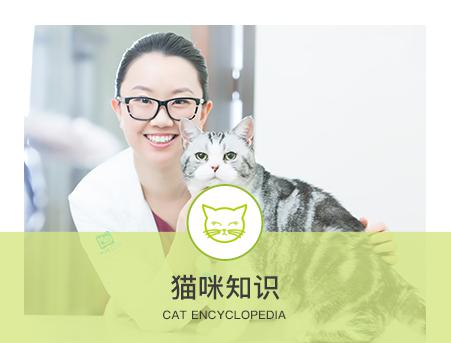 新瑞鵬寵物醫院