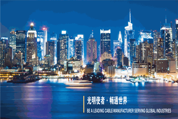 上海浦東電纜加盟