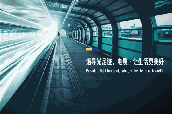 上海浦東電纜加盟