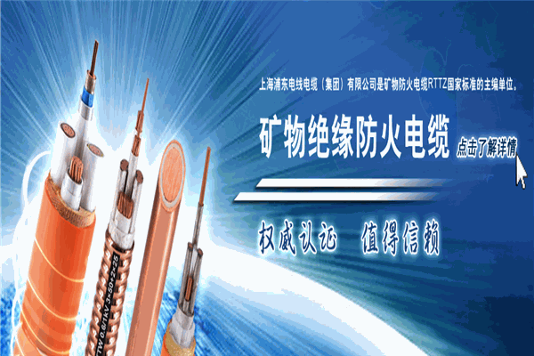 上海浦東電纜加盟