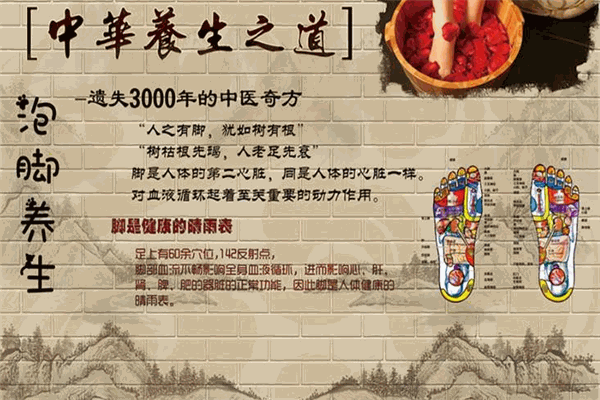 筋精道中醫養生加盟