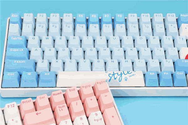 達爾優鼠標加盟