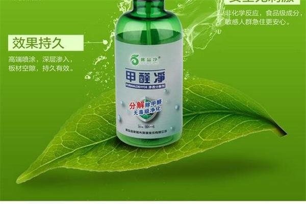 葉子環保除甲醛加盟