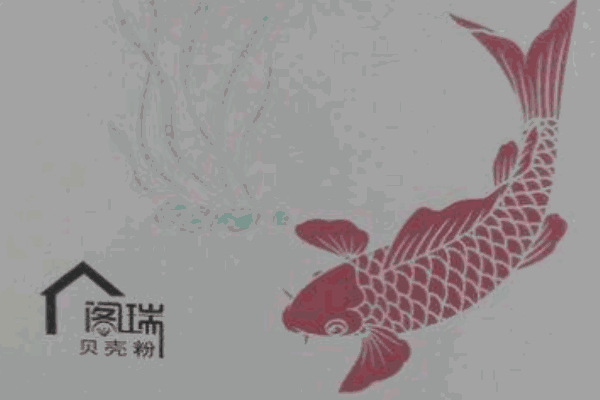 閣瑞貝殼粉加盟