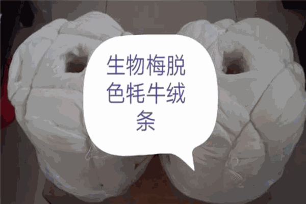 梅杰絨業加盟