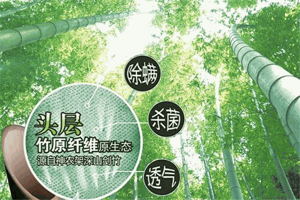 建州竹業加盟