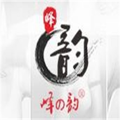 峰之韻美胸館加盟