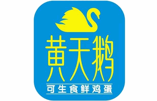 黃天鵝雞蛋加盟