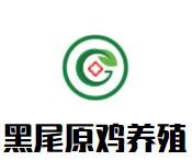 黑尾原雞養殖加盟